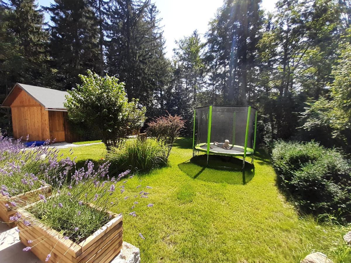 Apartamenty Przy Swierku Szklarska Poreba Dış mekan fotoğraf