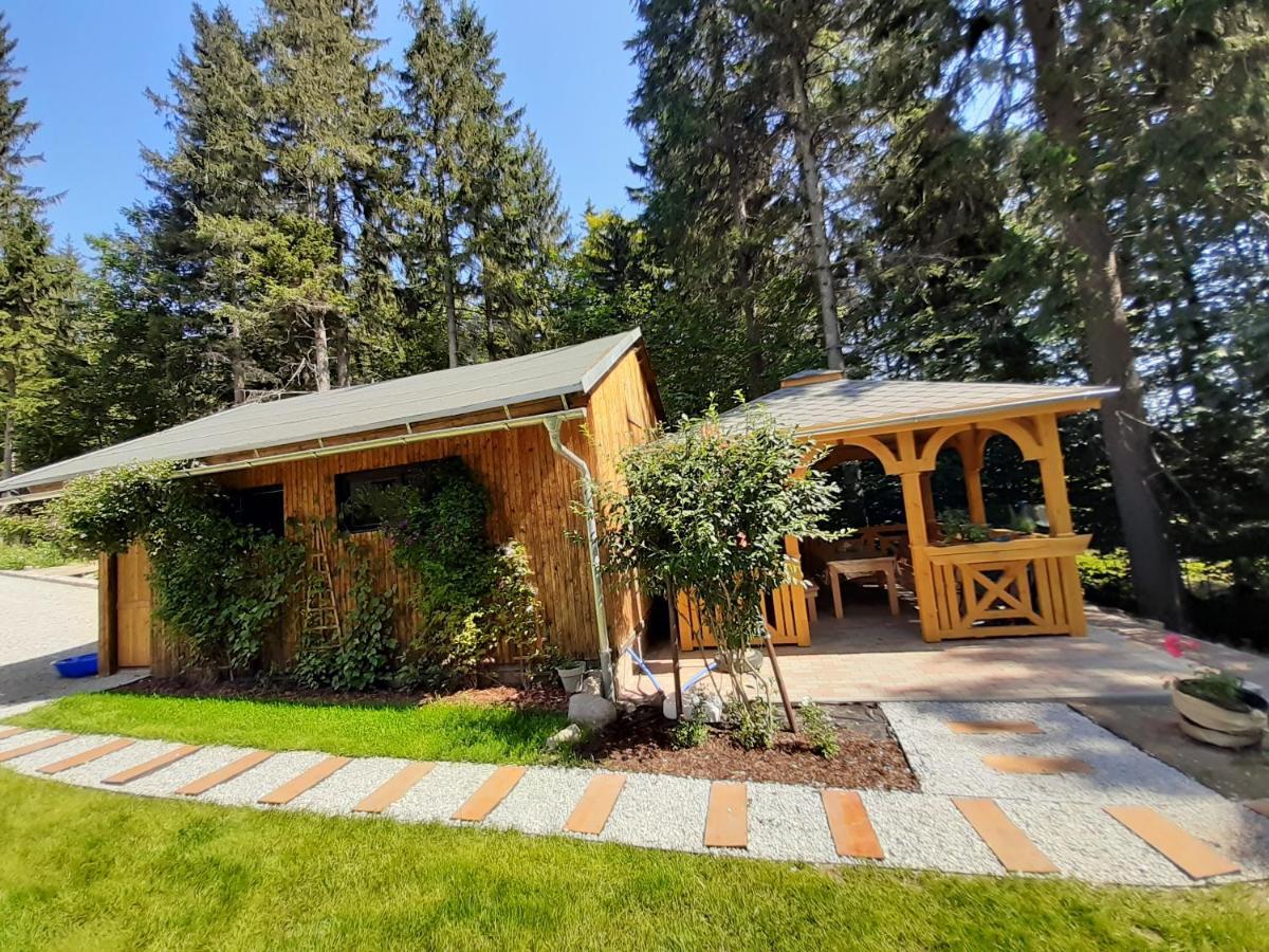Apartamenty Przy Swierku Szklarska Poreba Dış mekan fotoğraf